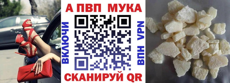 Alpha PVP СК  MEGA как войти  Бологое 