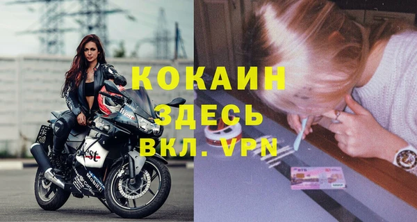 стаф Арсеньев