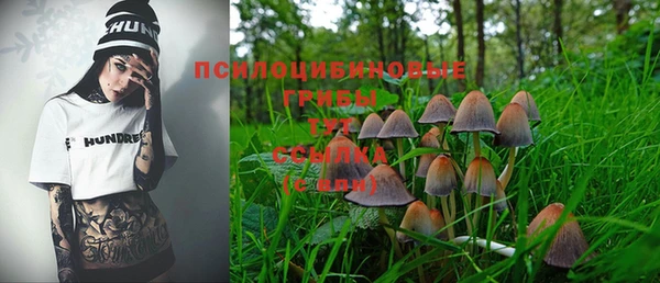 круглые Армянск
