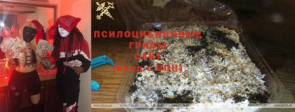 стаф Арсеньев
